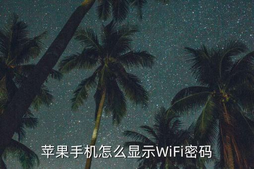 蘋果手機怎么使用網絡設置密碼，iphone手機上網設置...